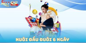 Nuôi Đầu Đuôi 6 Ngày